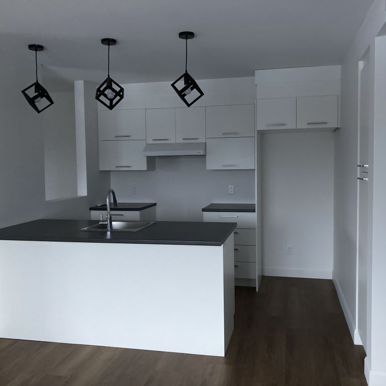 5 1/2 à Louer Avec Espace Bureau - Photo 1