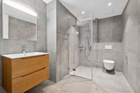 Appartement lumineux et spacieux à Allschwil - Photo 5