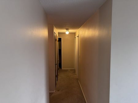 Cozy 2-Bedroom Apartment on Gordon Drive - Photo 5