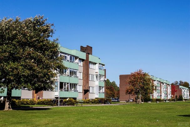 Ågårdsvägen 56 - Foto 1