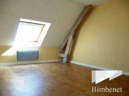 Appartement à louer, 1 pièce - Orléans 45000 - Photo 3