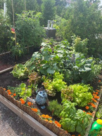 4060 Boul. des Sources, apt. 203 - Photo 5