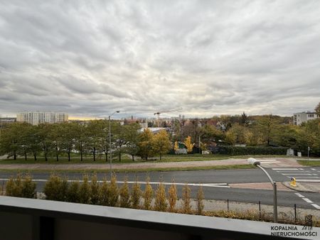 Wynajem 2 Pokoje | Dębowe Tarasy - Zdjęcie 3