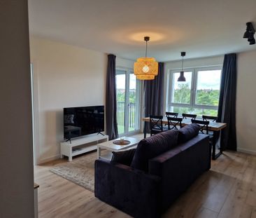 Działka Gumieńce Szczecin, Spiska, nr 423722 - Photo 2