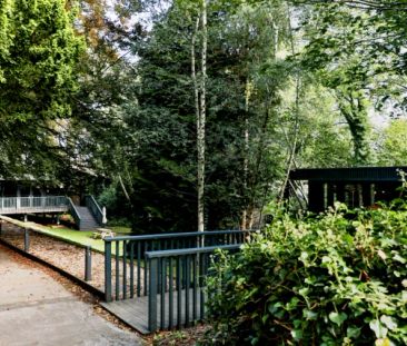 Gold - Second Floor - Photo 6