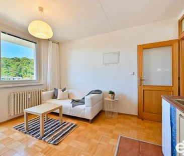 Pronájem bytu 1+1 se dvěma balkony Brno Žabovřesky, ulice Vychodilova - Fotografie 2