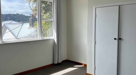 1/280 Adelaide Rd - Photo 3