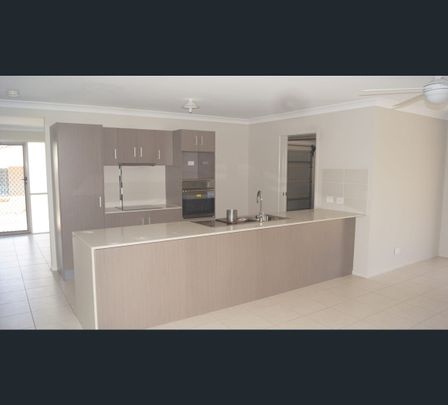 53 Island Street, Cleveland, Qld 4163 - Photo 1