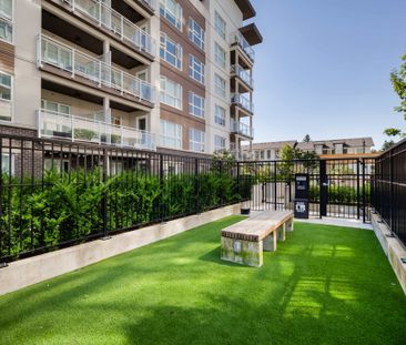 537 Foster Avenue, Coquitlam - Photo 5