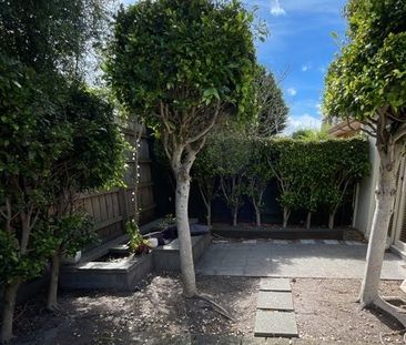 30 Beech St, Caulfield South - Photo 2