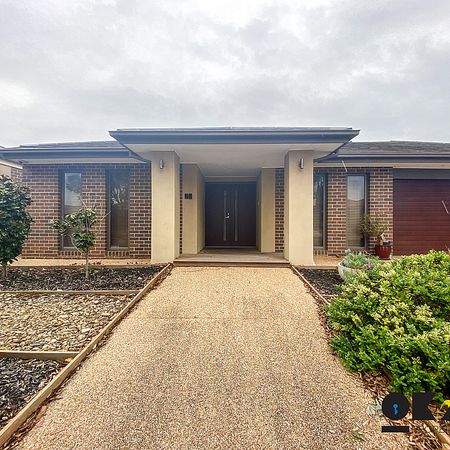 An Absolute Custom built Stunner In Alamanda School Zone - Photo 3