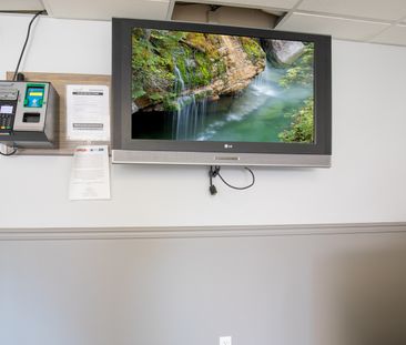 Utilities Included! Penthouse Bachelor Suites! - Photo 6