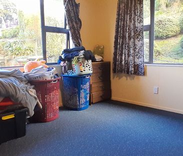 54b Bank St, North Dunedin - Photo 4