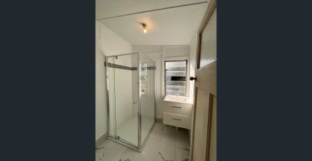 Freshly Renovated Highset Unit in a Convenient Location - Photo 4