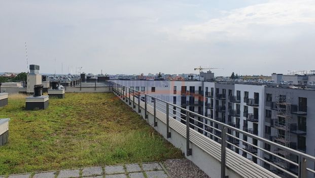 Centrum, ul. Mariana Langiewicza, Szczecin - Фото 1