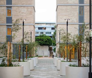 Brand New Unrivaled Luxury Apartment at The Rothschild - Rosebery - Photo 2