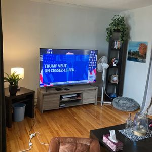 Mont-Saint-Hilaire – Sainte-Madelaine – Beau logement 5 1/2 à louer – Lumineux – Parking 4 chars – Immense locker – Solarium - Photo 2