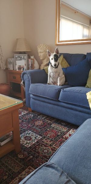 Room in a Shared House, Anna Croft, B23 - Photo 1