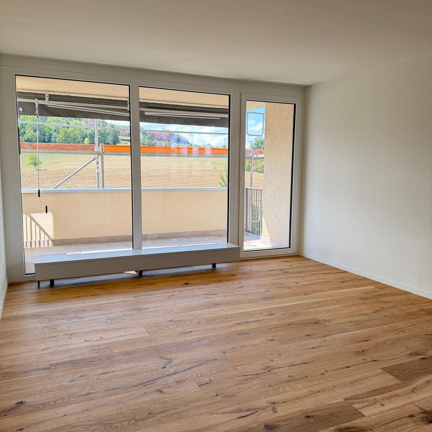 Neu sanierte 2.5-Zimmer-Wohnung mit schöner Aussicht - Foto 1