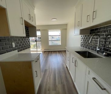 Newly Renovated Second Floor Apartment in White Rock - Photo 6