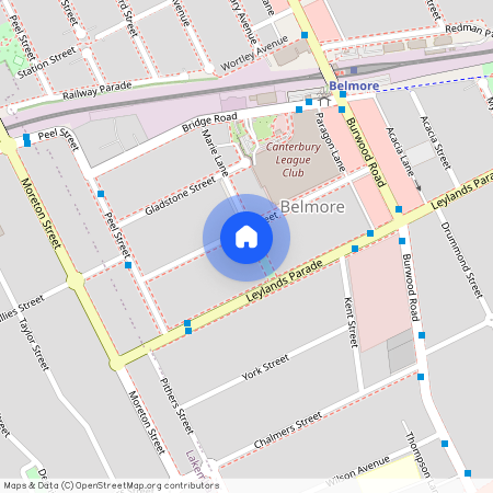 38 Collins Street, Belmore, NSW 2192