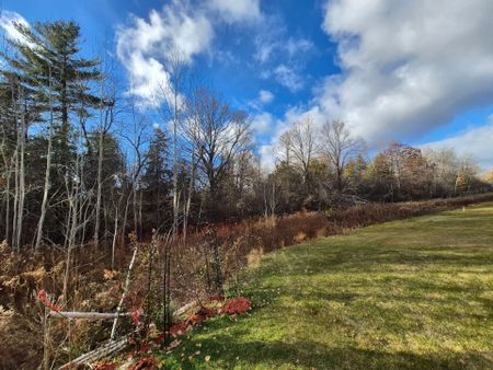 For Lease - 104 Credit Lane, Richmond Hill, Ontario - Photo 5