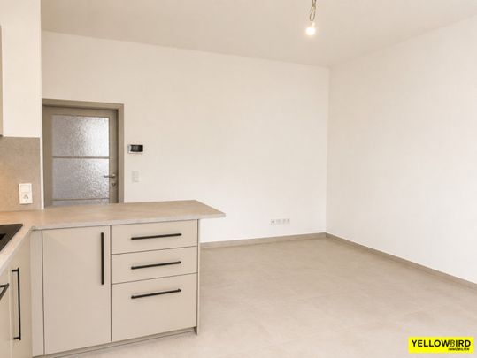 Hochwertig sanierte 3-Zimmer-Neubauwohnung in absoluter Ruhelage nahe Klinik Landstraße - Photo 1