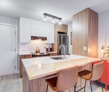 10681 Rue De Martigny, app.401, H2B 2M8, H2B 2M8, Montréal - Photo 4