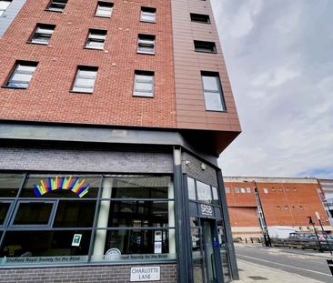 Bronze Studio - Photo 6