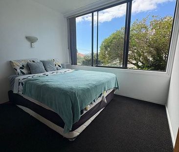 Oriental Bay apartment, next to Oriental lookout - Photo 4