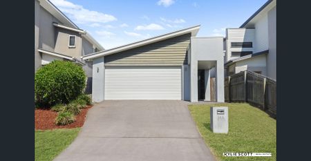 Family home in heart of Thornlands - AVAILABLE NOW! - Photo 4