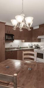 Appartement 4 ½ à louer Lévis juillet 2026 - Photo 4