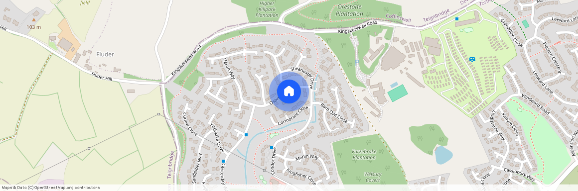 Osprey Drive, TQ2, Torquay