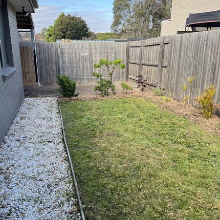 Light Filled living in Heart of Cheltenham - Photo 4