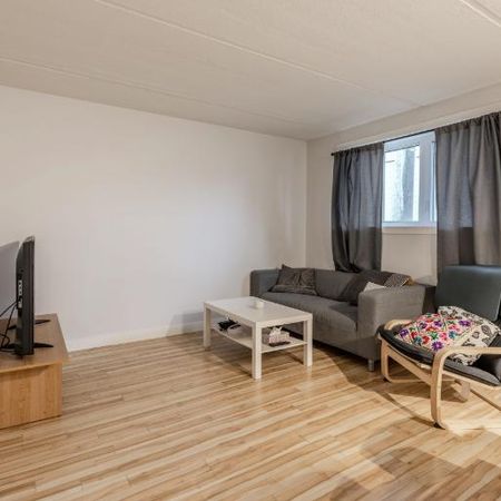 Appartement 3 ½ à louer Limoilou juillet 2026 - Photo 4