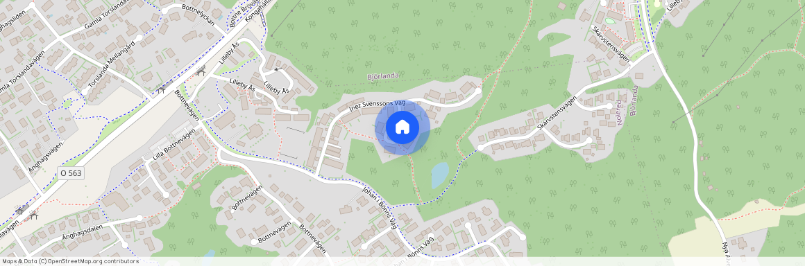 Inez Svenssons Väg, Torslanda