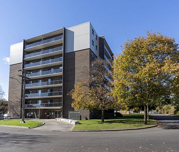 Claire Oak Apartments - Photo 1