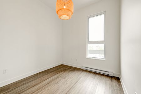 9675 Av. Papineau - Photo 4