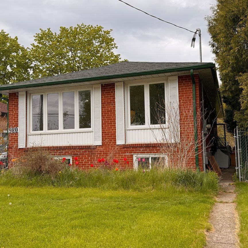 For Lease - 980 Midlan Avenue Unit# Basement, Toronto, Ontario - Photo 1