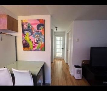 Logement 3 et demi à louer (sous-sol bungalow) - Photo 3