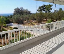 Διαμέρισμα για ενοικίαση - Ανάβυσσος - Φωτογραφία 6