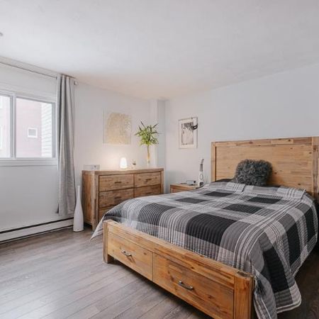 Appartement 4 ½ à louer Sainte-Foy / Sillery juillet 2026 - Photo 4