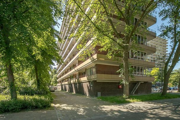 Arthur van Schendelplein 82, Voorhof-Hoogbouw, 2624CS, Delft - Photo 1
