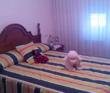 Piso de alquiler en Calle las Artes, 13, Centro - Foto 4