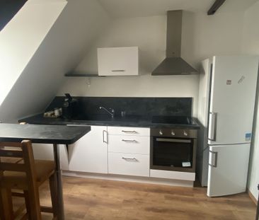 Location Appartement 3 pièces 53m² SCHILTIGHEIM 67300 - Photo 3