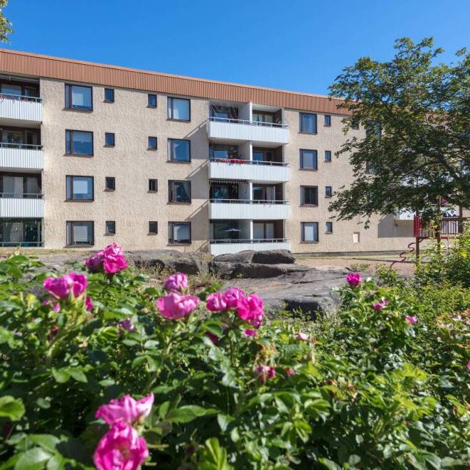 Vilbergsgatan 117 - Foto 1