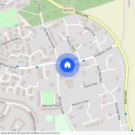 Kingfisher Court, Kingfisher Drive, Guildford, Surrey, GU4