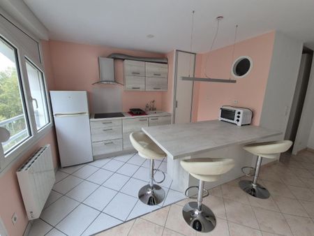 Location Appartement 2 pièces Meublé 49m² NANCY 54000 - Photo 5