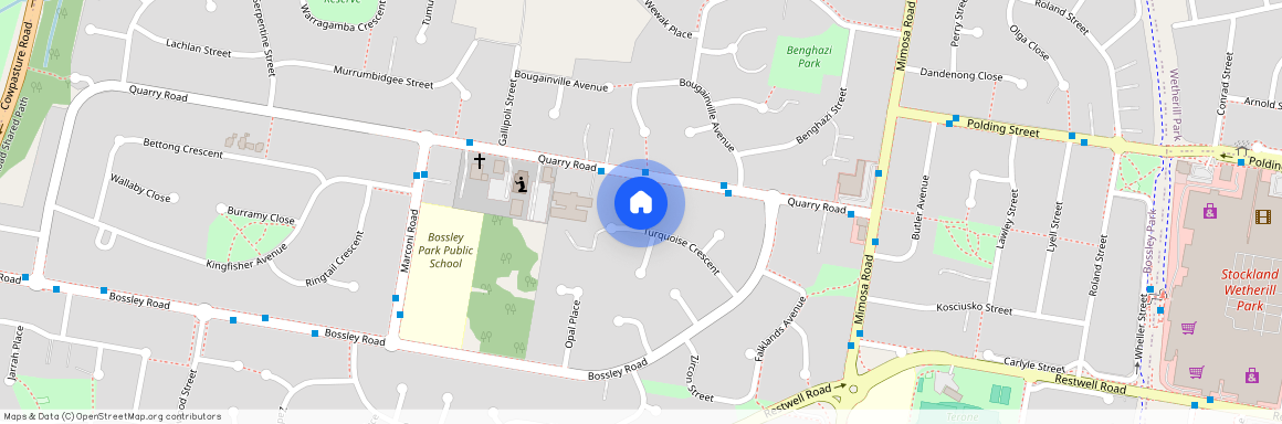 21 Turquoise Crescent, NSW 2176, Bossley Park