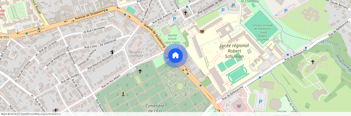 117 avenue de Strasbourg CONNEXION 117, 57000, Metz